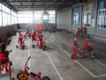 IMG_1391