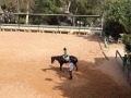 IMG_6648