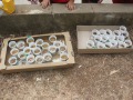 IMG_1650