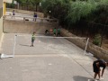 IMG_6773