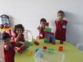 1_IMG_1736