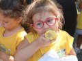 IMG_8952