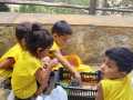 WhatsApp-Image-2024-08-12-at-15.16.08-2