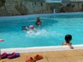 WhatsApp-Image-2024-08-26-at-11.48.45