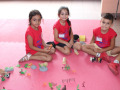 WhatsApp-Image-2025-07-15-at-3.16.15-PM-3