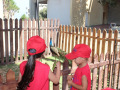 WhatsApp-Image-2025-07-25-at-12.36.36-PM-2