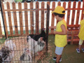WhatsApp-Image-2025-07-25-at-12.36.52-PM-2
