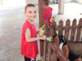 WhatsApp-Image-2025-07-25-at-12.36.52-PM