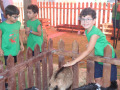 WhatsApp-Image-2025-07-25-at-12.37.02-PM-2