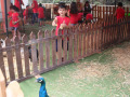 WhatsApp-Image-2025-07-25-at-12.37.07-PM-2