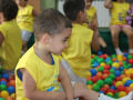 1_WhatsApp-Image-2025-07-29-at-3.06.02-PM-2