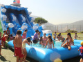 PHOTO-2026-08-06-14-49-46-4