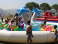 PHOTO-2026-08-06-14-49-52-28