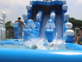 PHOTO-2026-08-06-15-00-04-52