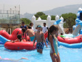 PHOTO-2026-08-06-15-00-04-54