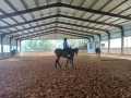 IMG-20260707-WA0054