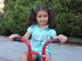 1_PHOTO-2026-08-12-15-08-58-11