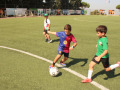 PHOTO-2026-08-12-15-08-58-2