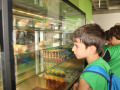 PHOTO-2026-08-17-15-42-12-70