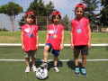 PHOTO-2026-07-20-15-02-28