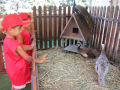 3acf86ca-3a3d-4a8a-b2e2-46521808fc0d