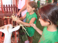 61224d14-e260-4e04-a091-2a693eef6df8