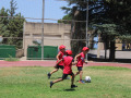 PHOTO-2026-07-27-14-59-03-34