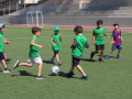 PHOTO-2026-07-31-15-25-09-24