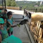 OASIS – MLS – Day 7 – Mar Chaaya – EF