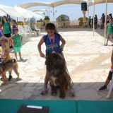 Animals Show – OASIS – MLS – Results Animals Show – OASIS – MLS – Results