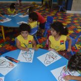 OASIS – AIS – Day 28 – Photos