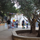 OASIS-SJS-Day 1